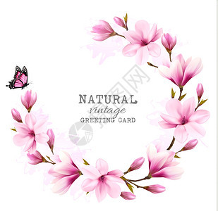 粉红色木兰花和蝴蝶矢量背景图片