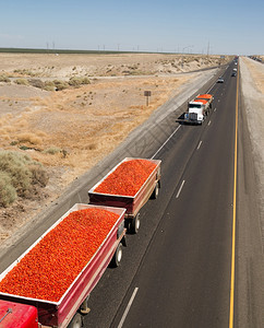 通过卡车沿加利福尼亚高速公路运输大量农产品图片