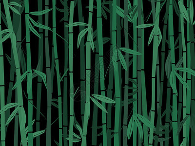 黑漆的竹子树图片
