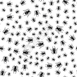 白背景无毒蜘蛛缝模式图片
