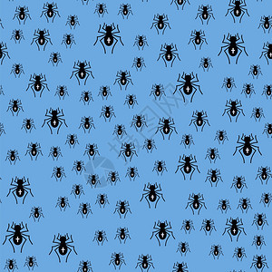 蓝背景的无毒蜘蛛缝模式毒蜘蛛缝模式图片