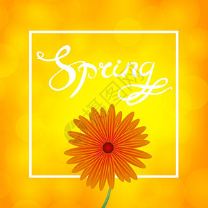 春季字母设计橙色花旗和黄模糊背景以及广场框架中的文字图片
