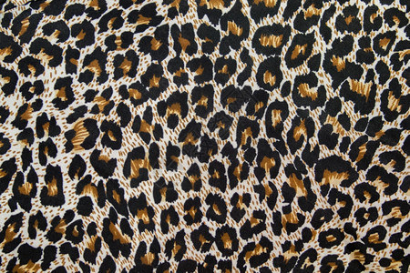 豹状纹理纺织品一件衣服图片
