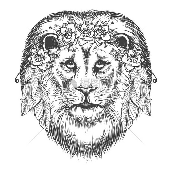 黑白手绘狮子和鲜花插画图片