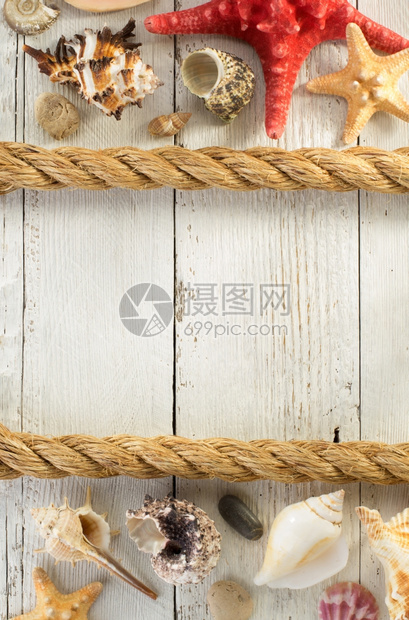 木制背景的贝壳木制背景纹理的贝壳图片