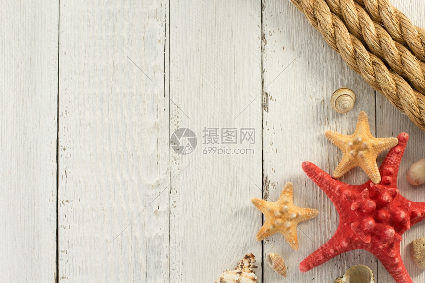 木制背景的贝壳木制背景纹理的贝壳图片