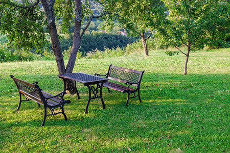 夏季绿色花园的桌椅图片