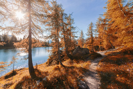 阳光明媚的日落时阿尔卑斯山落湖意大利阿尔卑斯山多洛米特阿尔卑斯山图片