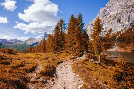 阿尔卑斯山秋天风景意大利阿尔卑斯多洛米特阿尔卑斯山图片