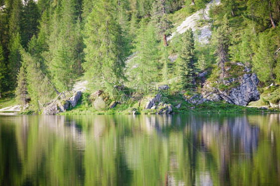 阿尔卑斯山夏季湖上反射的树木意大利阿尔卑斯山多洛米特阿尔卑斯山图片