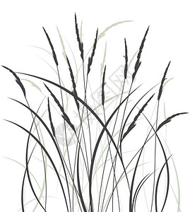草地叶黑白植物小草矢量插图插画