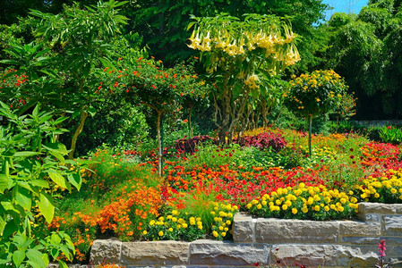 夏季公园的花棚和树木多姿彩图片