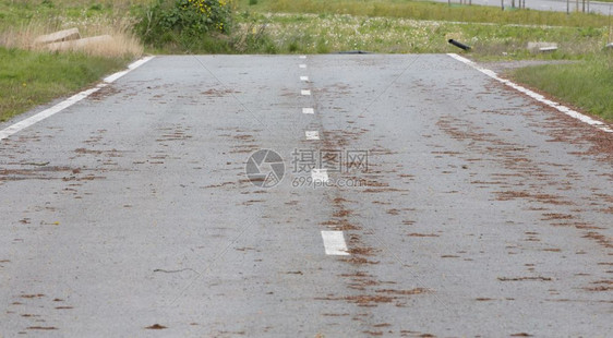 长时间没有使用的废弃道路图片