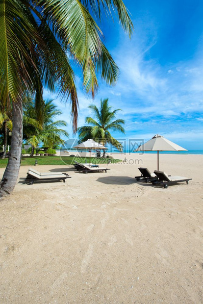 斯里兰卡无触摸的热带海滩图片