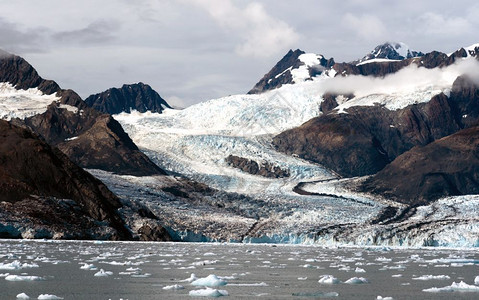 Aialik冰川流向同一名称的海湾排干哈丁冰场图片