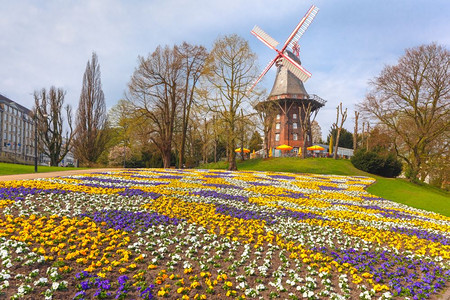 德国不来梅的AmWallWindMillAmMill德国不来梅的Wallanlagen流行城市公园和AmMill和多彩花朵前台德图片