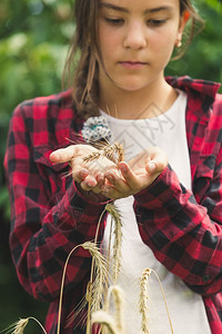 美的年轻女孩握着金麦子耳朵图片