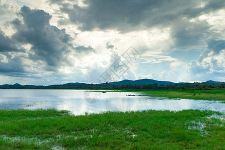 斯里兰卡湖地貌水上的树木湖图片