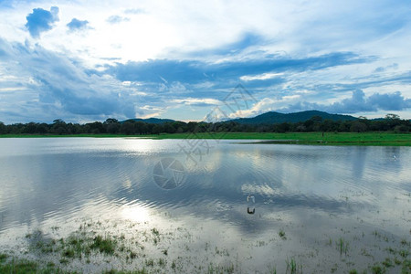 斯里兰卡康提湖背景 斯里兰卡康提湖摄影图片 斯里兰卡康提湖壁纸 摄图网 斯里兰卡康提湖背景 斯里兰卡康提湖摄影图片 斯里兰卡康提湖壁纸 摄图网