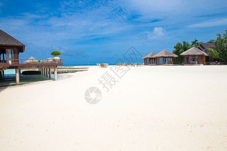 马尔代夫热带海滩棕榈树和蓝环礁湖很少图片