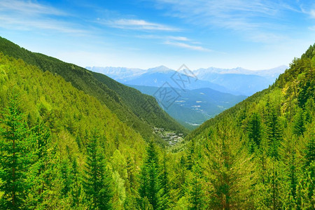 覆盖着森林和蓝天空的图景山峰图片