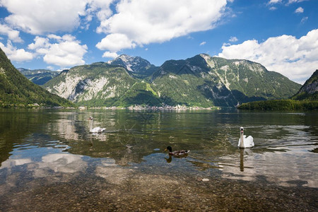 奥地利Hallstatt村阿尔卑斯山湖夏季全景图片