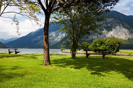 绿色夏季城市公园山区湖景观图图片