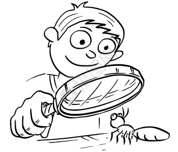 卡通手画矢量插图说明男孩拿着手放大镜看蚂蚁昆虫图片