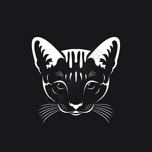 黑底动物图片插画