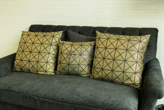室内优雅的客厅黑色天鹅绒沙发上有金型枕头图片