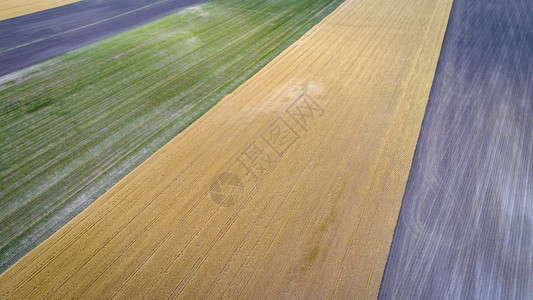 Nebraska农村的抽象空中观察播种小麦和玉米田图片