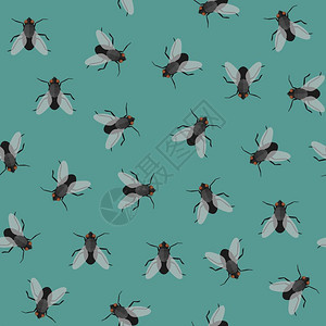 无缝和苍蝇的形态矢量平面的可重复背景和家禽图片