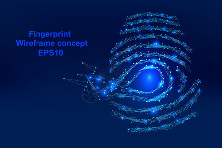 带有点线条和形状的数码指纹其形式为矢量电线框架概念技术图片