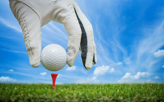 高尔夫球手用蓝天打图片