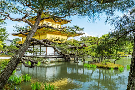 日本京都金宫寺殿建筑图片