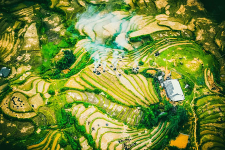 越南萨帕的稻田露梯图片