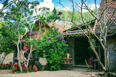 DATLATVIETNAM2017年月日Dalat农村的CuLan村松林中的旅馆和度假胜地草上的营自然生态旅游等图片