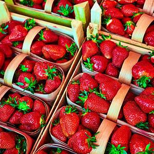 草莓新鲜成熟的草莓图片