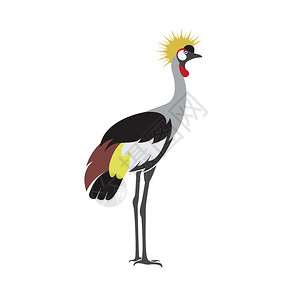 南非灰冠鹤插画_南非灰冠鹤卡通_南非灰冠鹤插图_手绘_板绘_摄图网