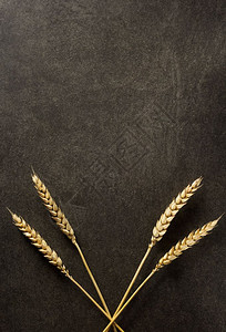 黑色背景纹理上的小麦耳朵图片