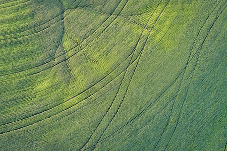 夏季末密苏里州绿色大豆田及拖拉机脚印的空中观察图片