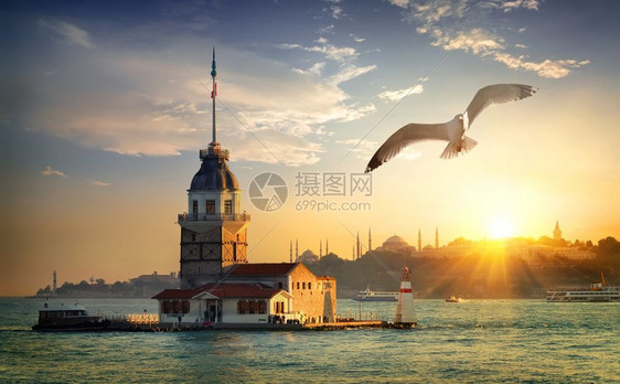 在土耳其伊斯坦布尔日落时在MaidensTower附近漂浮的海鸥图片