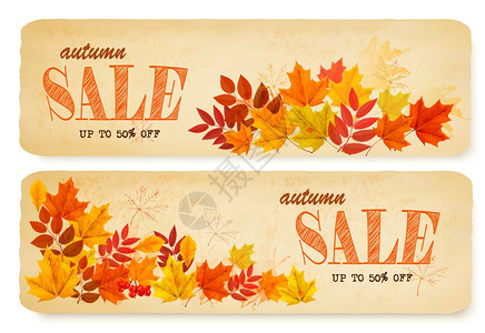 一套两秋季销售横幅配有彩色叶子和浆果矢量图片