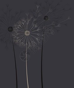 花朵的黑暗背景花朵的矢量插图花朵的黑暗背景和花朵的文字位置图片