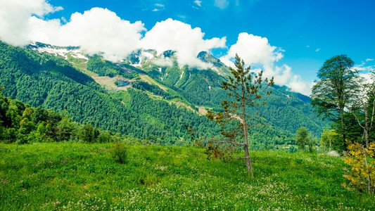 山区峰绿地图片