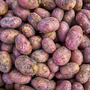 马铃薯市场上的马铃薯组图片