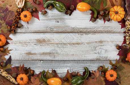 在感恩节和秋季假日叶配有果玉米和橡果在感恩节和秋使用图片