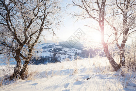 冬季山区雪农村日出风景图片