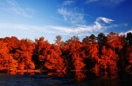 美丽的瀑布色彩森林反映在河流中图片