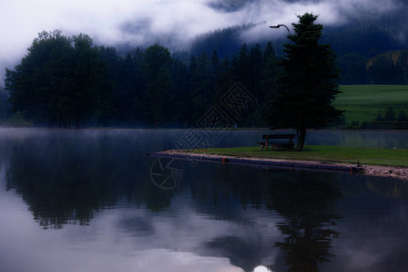 清晨雾的天气下图片